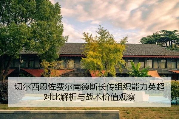 切尔西恩佐费尔南德斯长传组织能力英超对比解析与战术价值观察